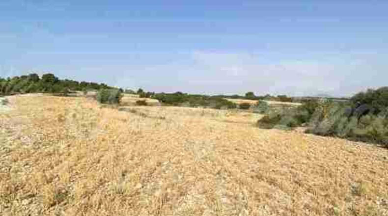 Albacete - Almansa - 1000000m2