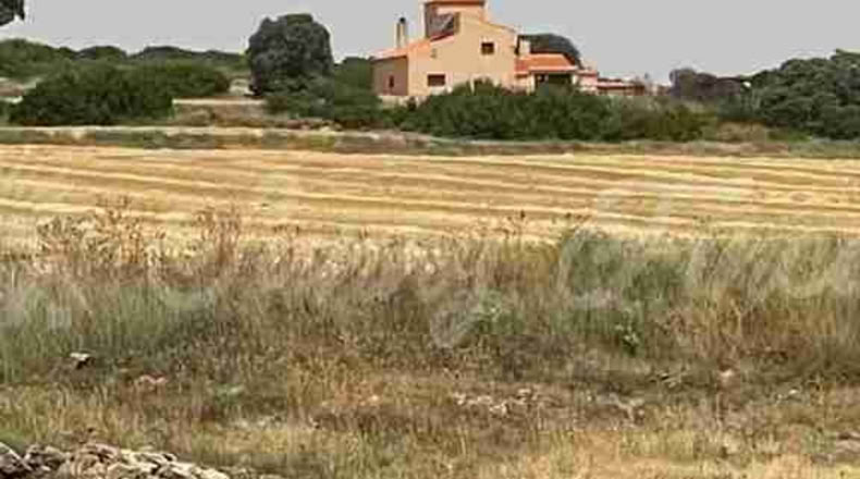Albacete - Almansa - 1000000m2