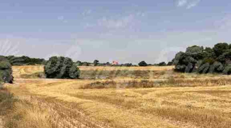 Albacete - Almansa - 1000000m2