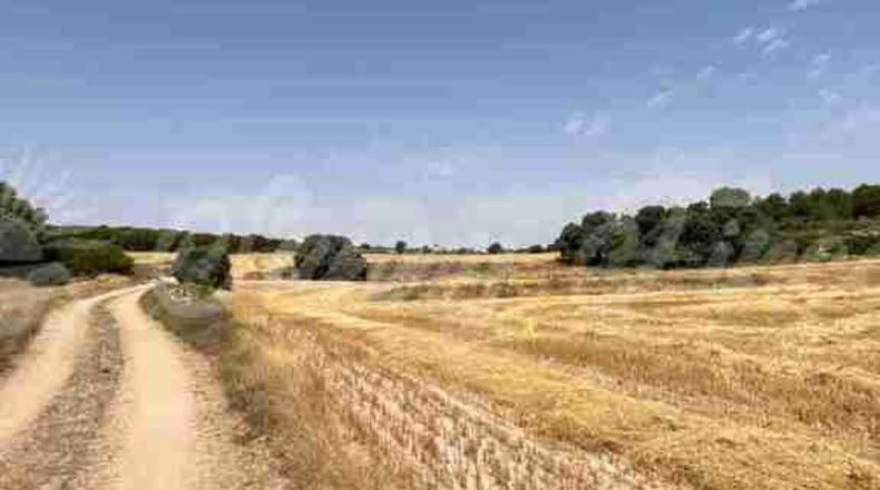 Albacete - Almansa - 1000000m2