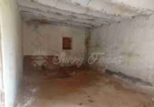Masia with land for sale in Yecla ref: TR183517 photo