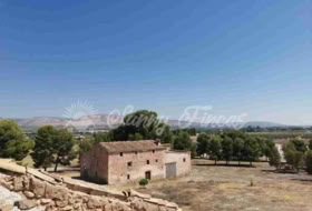Beneixama 74000&nbsp;м²