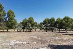 Beneixama 74000&nbsp;м²