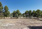 Masia amb terreny en venda a Beneixama ref.: TR204134 foto