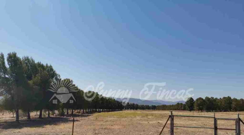 Alicante - Benejama - 74000m2
