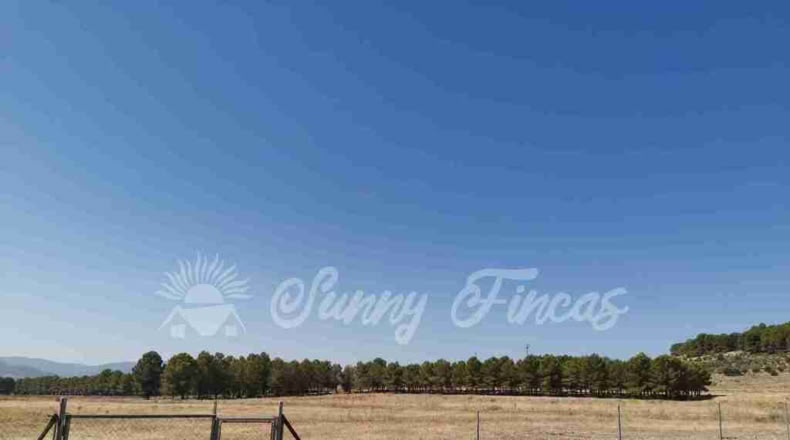 Alicante - Benejama - 74000m2