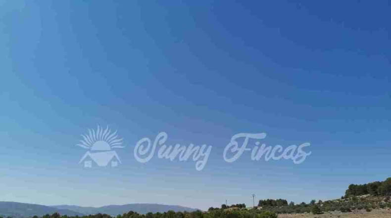Alicante - Benejama - 74000m2