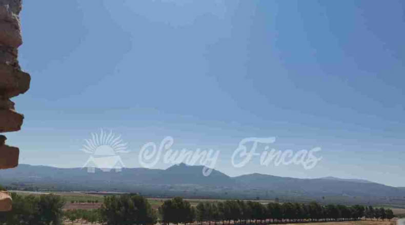 Alicante - Benejama - 74000m2