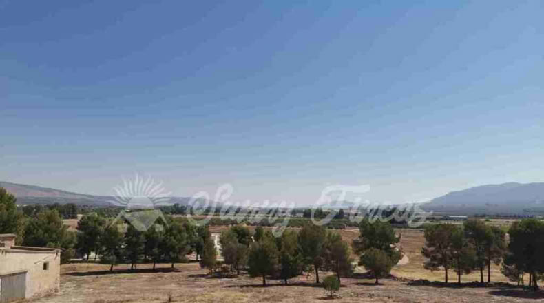 Alicante - Benejama - 74000m2