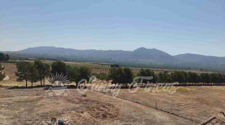 Alicante - Benejama - 74000m2