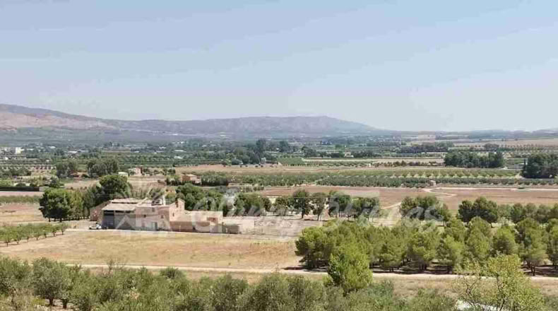 Alicante - Benejama - 74000m2