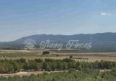 Masia amb terreny en venda a Beneixama ref.: TR204134 foto