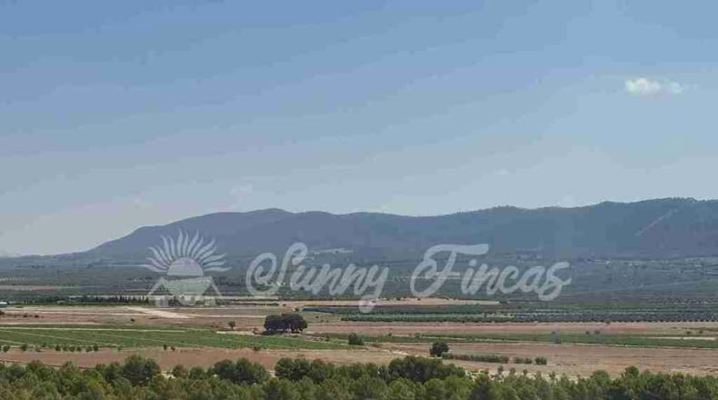 Alicante - Benejama - 74000m2