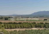 Masia amb terreny en venda a Beneixama ref.: TR204134 foto