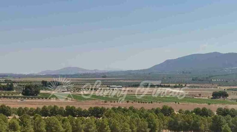 Alicante - Benejama - 74000m2