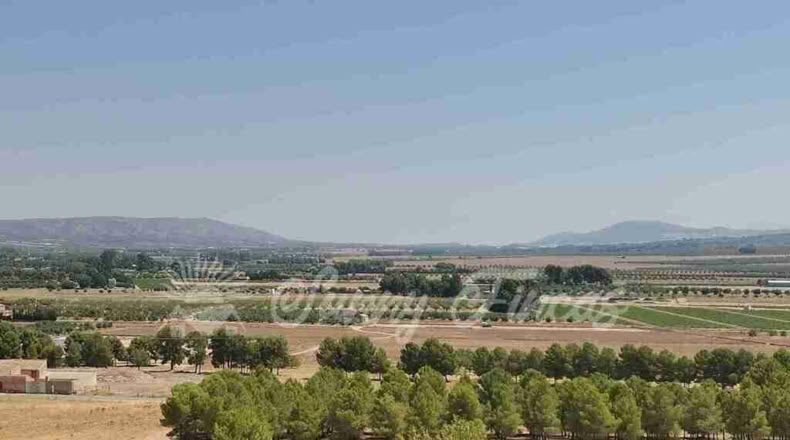 Alicante - Benejama - 74000m2