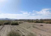 Parcel·la urbanitzable en venda a Villena ref.: TR204136 foto