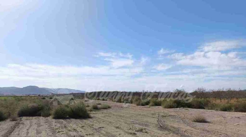 Alicante - Villena - 14000m2