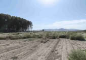 Parcel·la urbanitzable en venda a Villena ref.: TR204136 foto