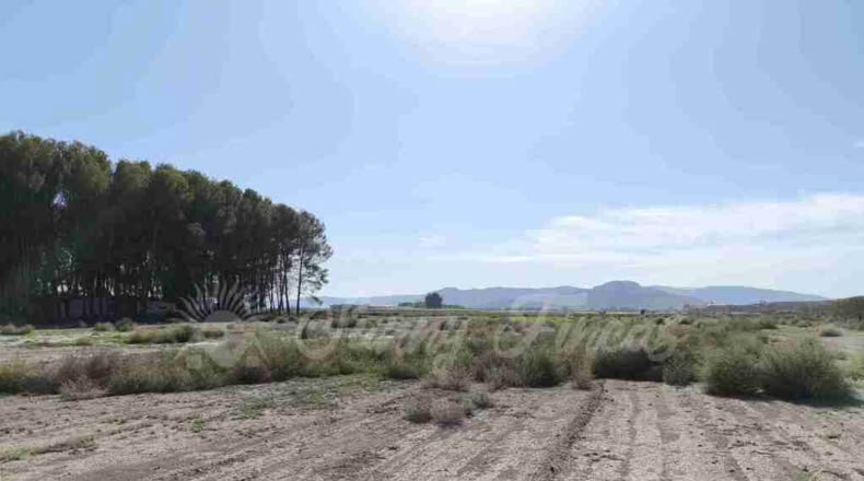 Alicante - Villena - 14000m2