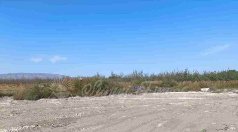 Alicante - Villena - 14000m2