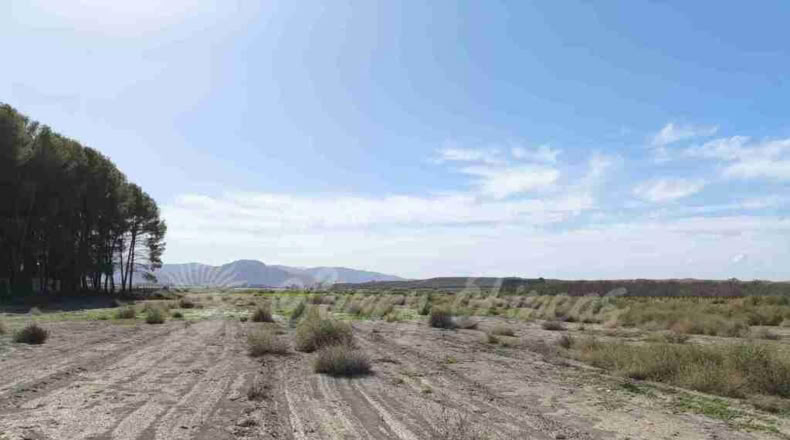 Alicante - Villena - 14000m2