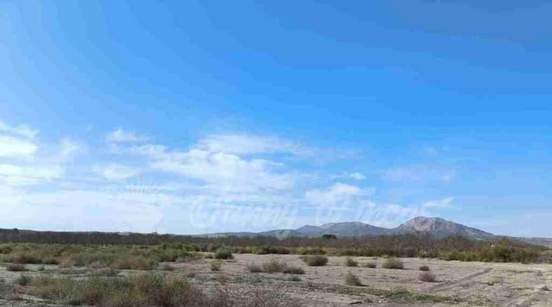 Alicante - Villena - 14000m2