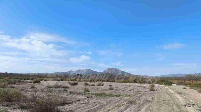 Alicante - Villena - 14000m2