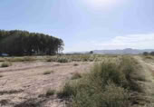 Parcel·la urbanitzable en venda a Villena ref.: TR204136 foto