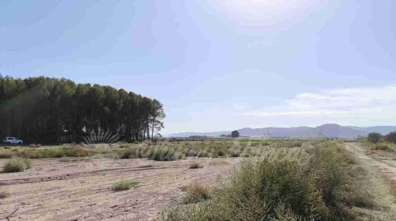 Alicante - Villena - 14000m2