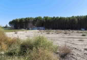 Parcel·la urbanitzable en venda a Villena ref.: TR204136 foto