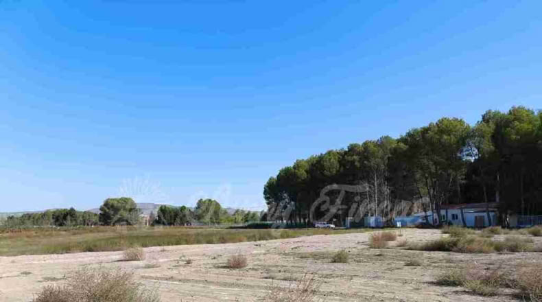Alicante - Villena - 14000m2