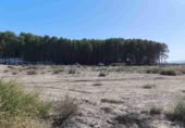 Parcel·la urbanitzable en venda a Villena ref.: TR204136 foto