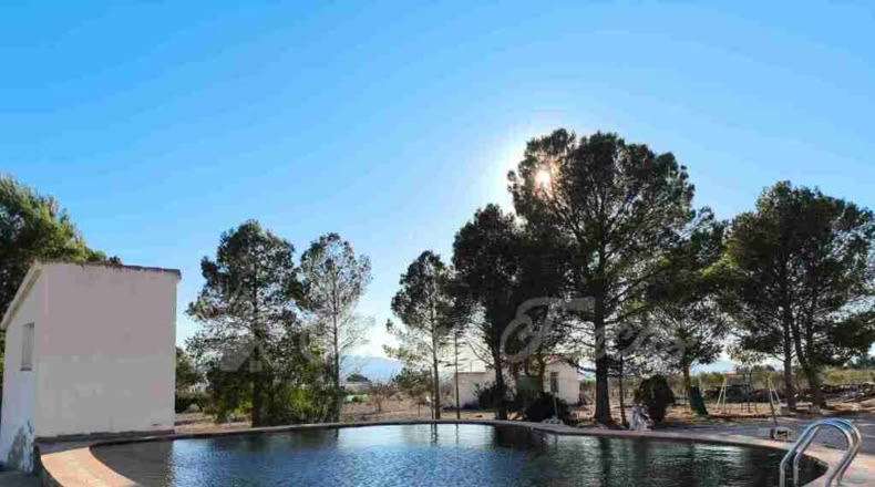 Murcia - Yecla - 10000m2