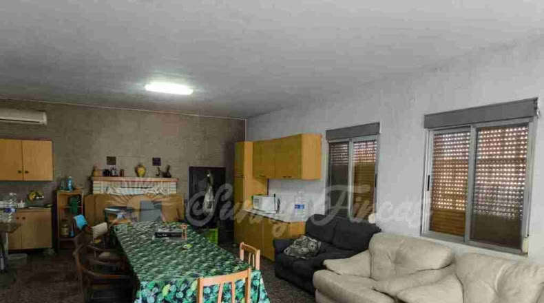 Murcia - Yecla - 10000m2
