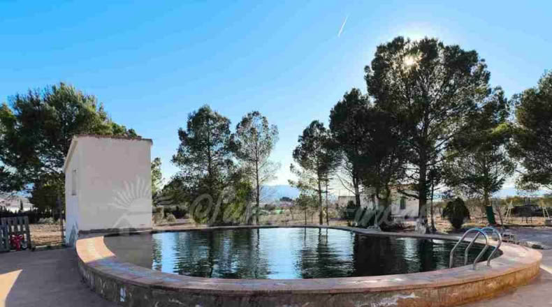 Murcia - Yecla - 10000m2