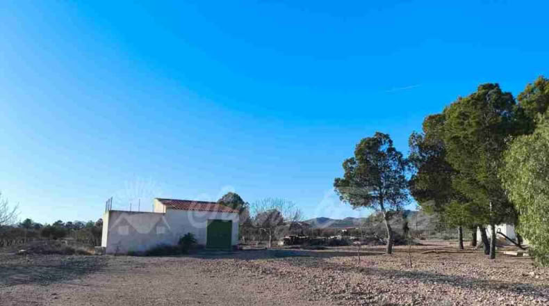 Murcia - Yecla - 10000m2