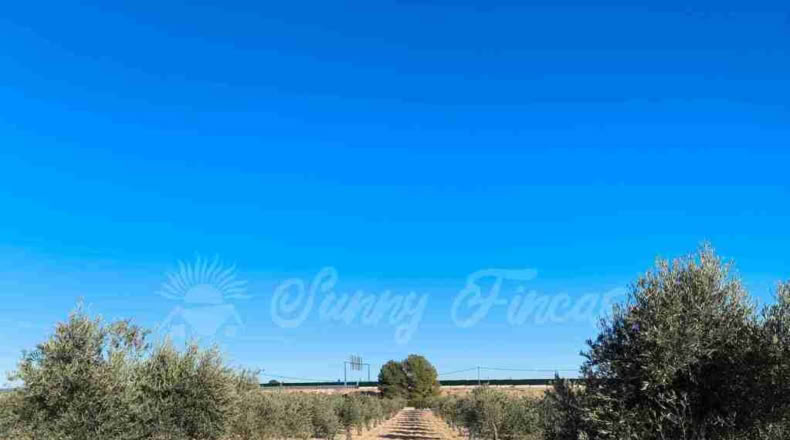 Murcia - Yecla - 10000m2