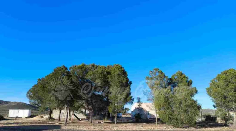 Murcia - Yecla - 10000m2