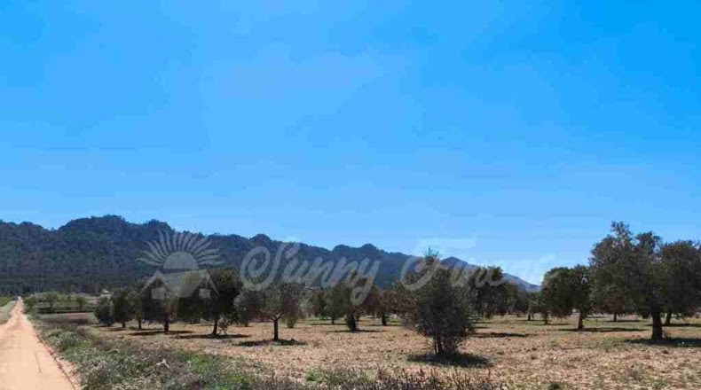 Murcia - Yecla - 23000m2