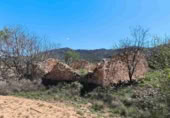 Terreny no urbanitzable en venda a Iecla ref.: TR232679 foto