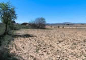 Terreny no urbanitzable en venda a Iecla ref.: TR232679 foto