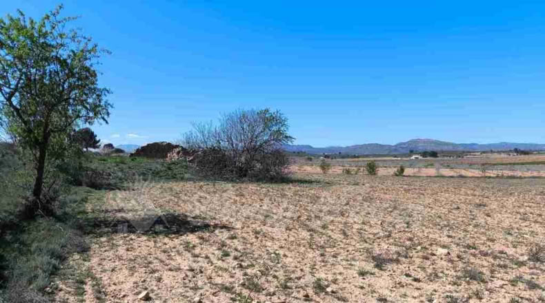 Murcia - Yecla - 23000m2