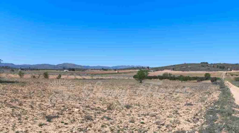 Murcia - Yecla - 23000m2