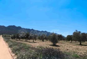 Foto 15