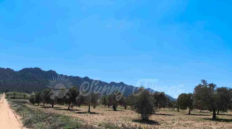 Murcia - Yecla - 23000m2