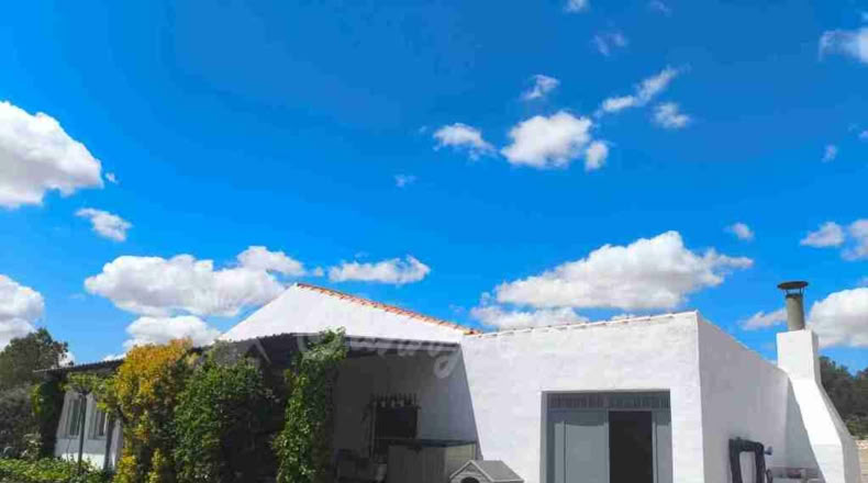 Murcia - Yecla - 80000m2