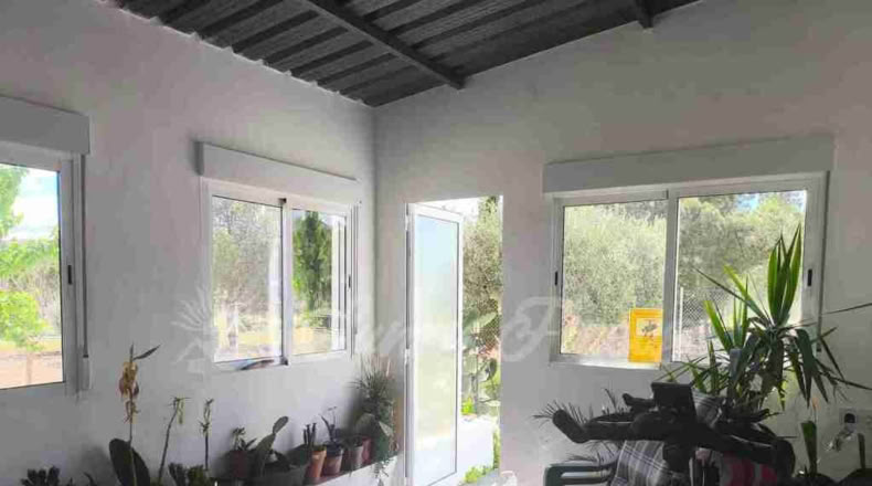 Murcia - Yecla - 80000m2