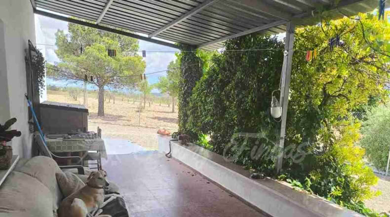 Murcia - Yecla - 80000m2