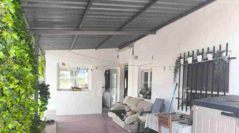 Murcia - Yecla - 80000m2